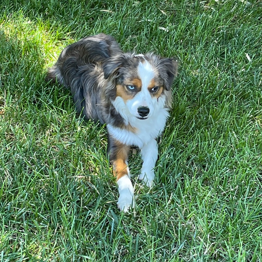 Meet your Posher, Courtney